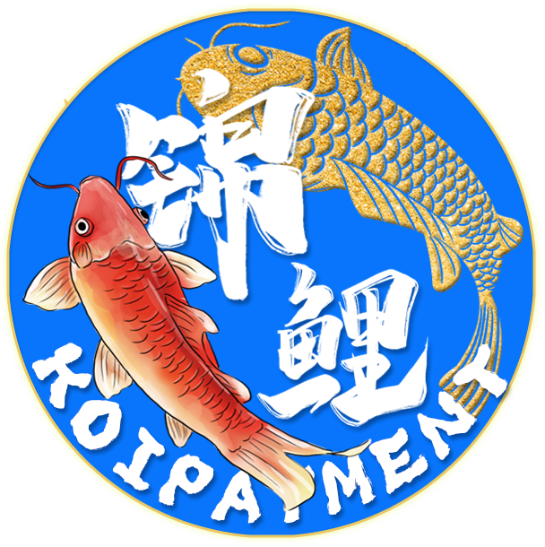 KoiPayment_Now logo